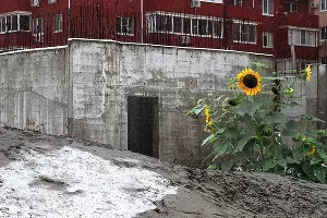 Из серии &laquo;Сад&raquo; &copy;&nbsp;Предоставлено Юлей Шафаростовой