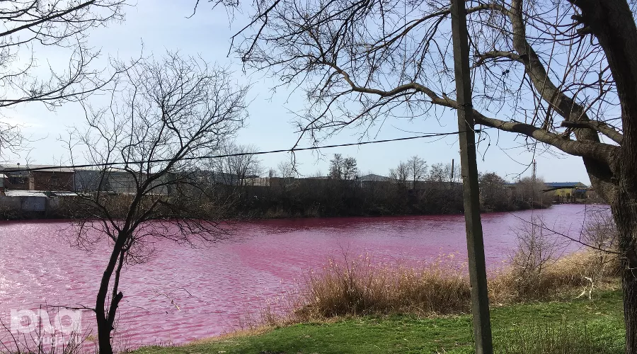  &copy;&nbsp;Фото Александра Гончаренко, Юга.ру