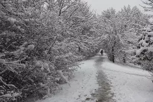 Снег в Краснодаре &copy;&nbsp;Фото Елены Синеок, Юга.ру