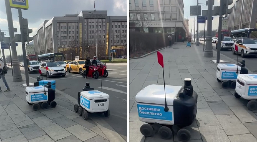 Роботы-доставщики в Москве &copy;&nbsp;Коллаж из видео Веры Мартыновой