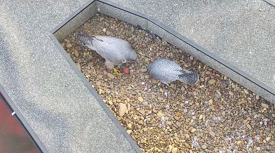  &copy;&nbsp;Фото предоставлено пресс-службой Уралсиба