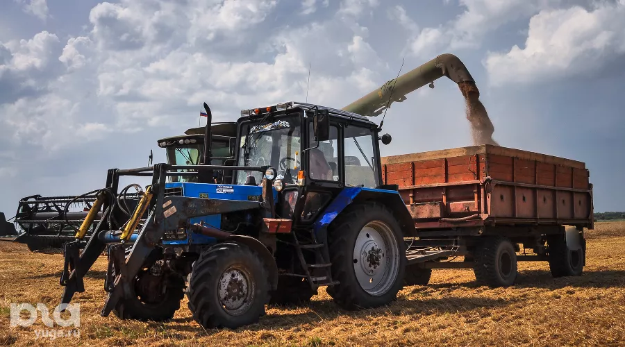 Уборка урожая на Кубани &copy;&nbsp;Елена Синеок, ЮГА.ру