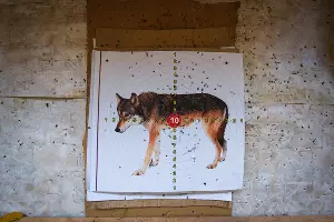 Водопады Руфабго в Адыгее &copy;&nbsp;Елена Синеок, ЮГА.ру