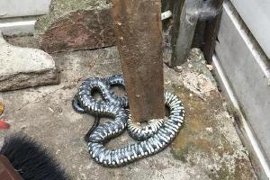  &copy;&nbsp;Фото с сайта pass-sk.ru