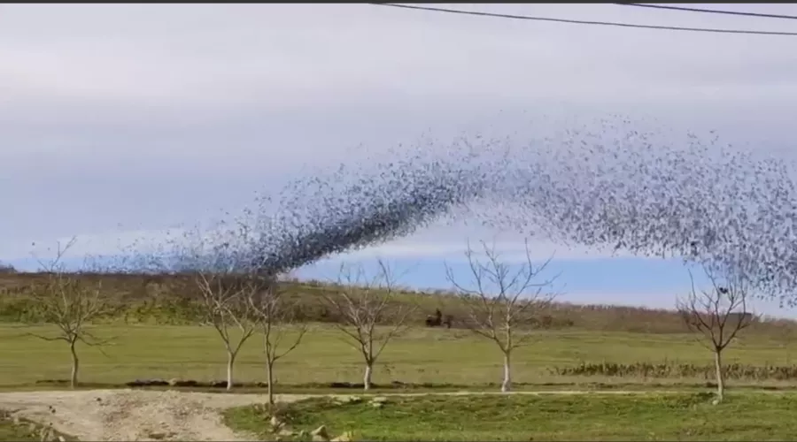  &copy;&nbsp;Скриншот из телеграм-канала &laquo;Новости Краснодара — Город&raquo; https://t.me/krd_gorod_space/1705