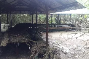  &copy;&nbsp;Фото министерства природных ресурсов и экологии РФ