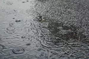  &copy;&nbsp;Фото Елены Синеок, Юга.ру