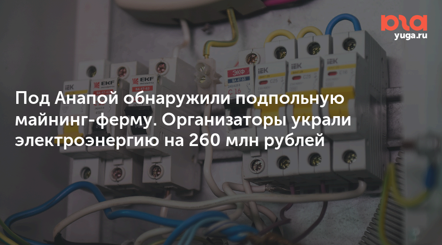 Под Анапой обнаружили подпольную майнинг-ферму. Организаторы украли электроэнергию на 260 млн рублей