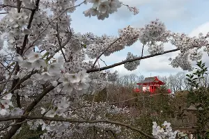 Японский сад &copy;&nbsp;фото Андрея Малёваного