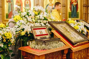  &copy;&nbsp;Фото Дениса Яковлева, Юга.ру