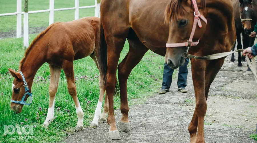  &copy;&nbsp;Фото Дениса Яковлева, Юга.ру