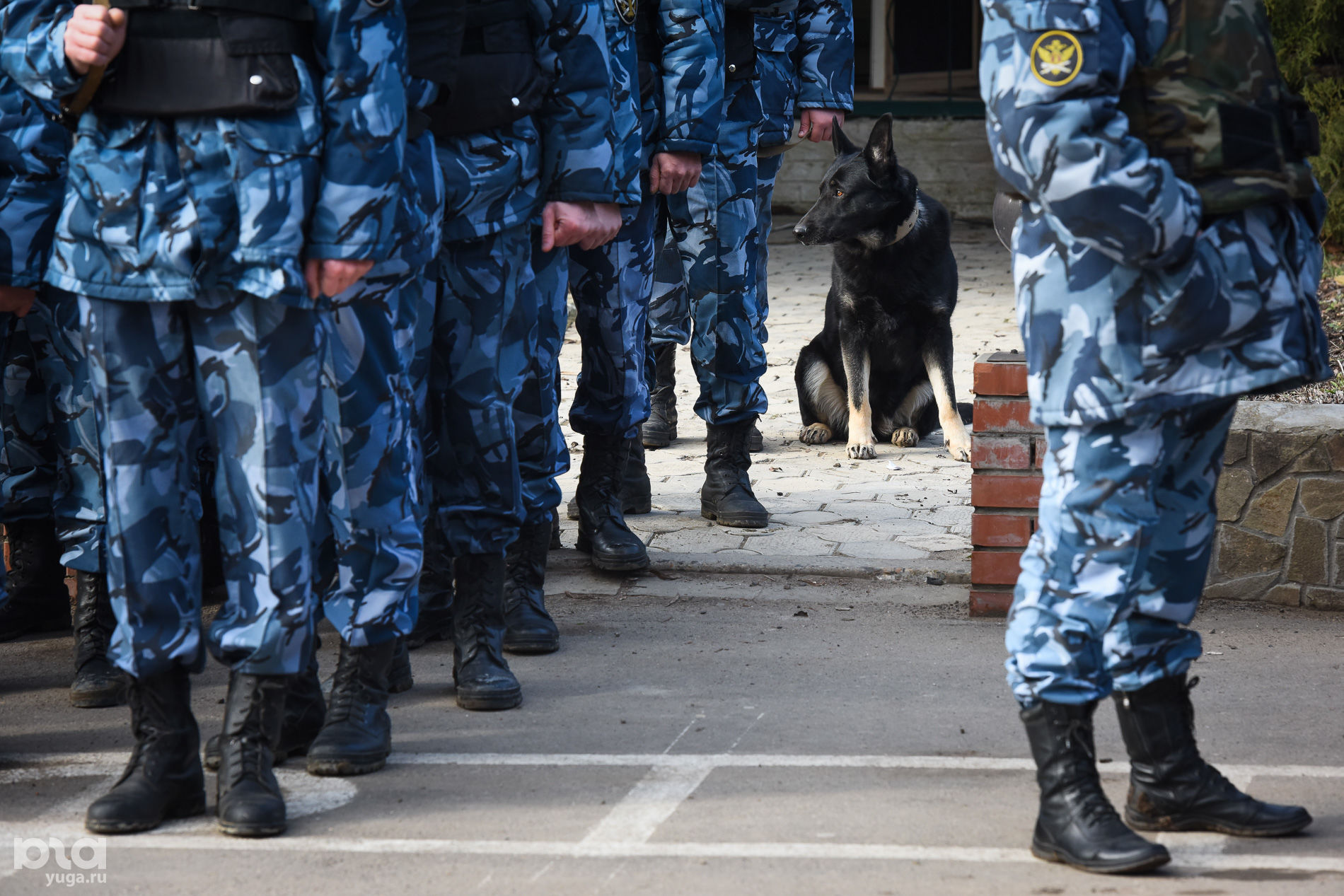 Сайт исправительной колонии. Начальник ик 6 кировской области. Исправительная колония № 14 уфсин россии по краснодарскому краю. Ик 2 бобруйск. Бибик фку ик 6 кировская область.