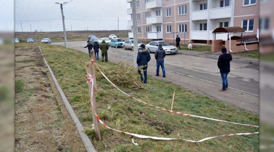  &copy;&nbsp;Фото пресс-службы администрации Крымского района