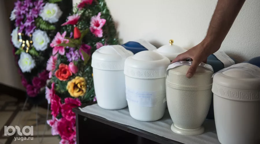  &copy;&nbsp;Фото Елены Синеок, Юга.ру