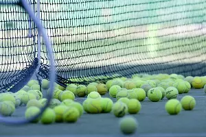  &copy;&nbsp;Фото пользователя HeungSoon с сайта pixabay.com