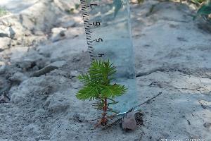  &copy;&nbsp;Фото пресс-службы министерства природных ресурсов Краснодарского Края