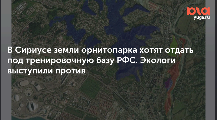 В Сириусе земли орнитопарка хотят отдать под тренировочную базу РФС. Экологи выступили против