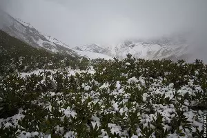  &copy;&nbsp;Фото из аккаунта www.instagram.com/funsochi