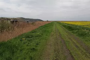 Свалка в Полтавской &copy;&nbsp;Фото Антона Быкова, Юга.ру