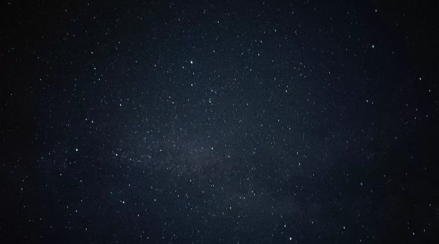  &copy;&nbsp;Фото Дарьи Маяковской для Юга.ру