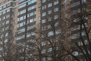  &copy;&nbsp;Фото Елены Синеок, Юга.ру