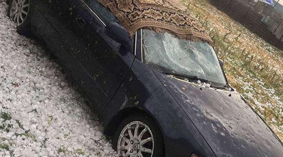  © Фото из Telegram-канала «Туподар Краснодар», t.me/typodar