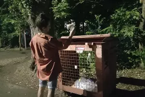 Сетка &laquo;Мусороуборочной компании&raquo; для пластиковых бутылок &copy;&nbsp;Фото Ярославы Гуляевой, Юга.ру