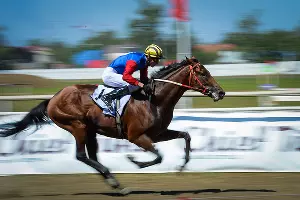 Скачки "Дерби" на Краснодарском ипподроме &copy;&nbsp;Михаил Ступин, ЮГА.ру