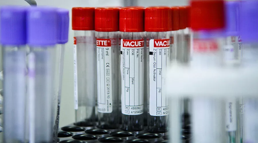  &copy;&nbsp;Фото Елены Синеок, Юга.ру