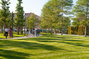 Парк «Краснодар» открылся после карантина © Фото Дмитрия Леснова, Юга.ру