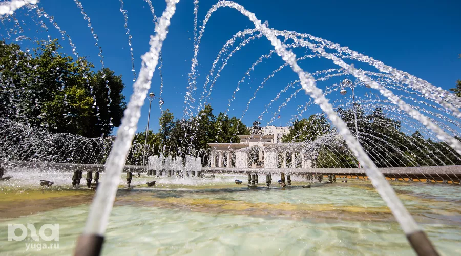  &copy;&nbsp;Фото Елены Синеок, Юга.ру