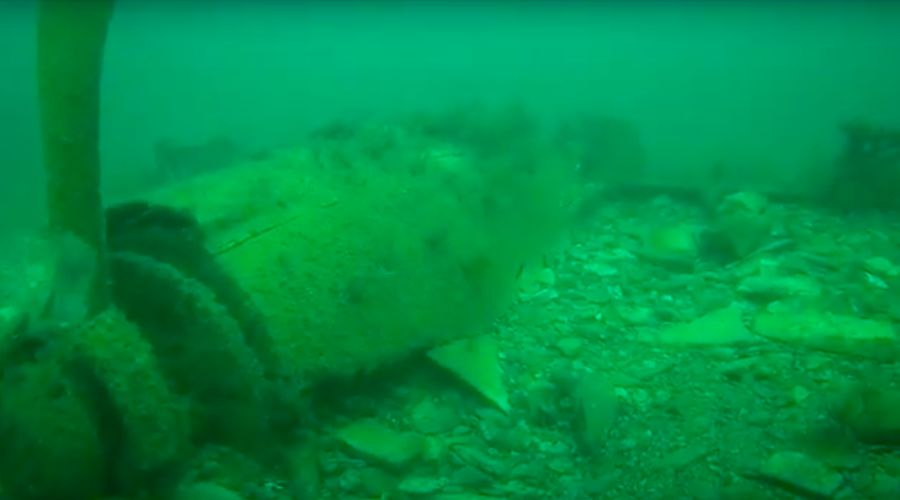  &copy;&nbsp;Скриншот из видео краснодарского отделения РГО