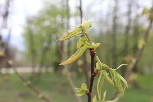  &copy;&nbsp;Фото пресс-службы Кавказского заповедника