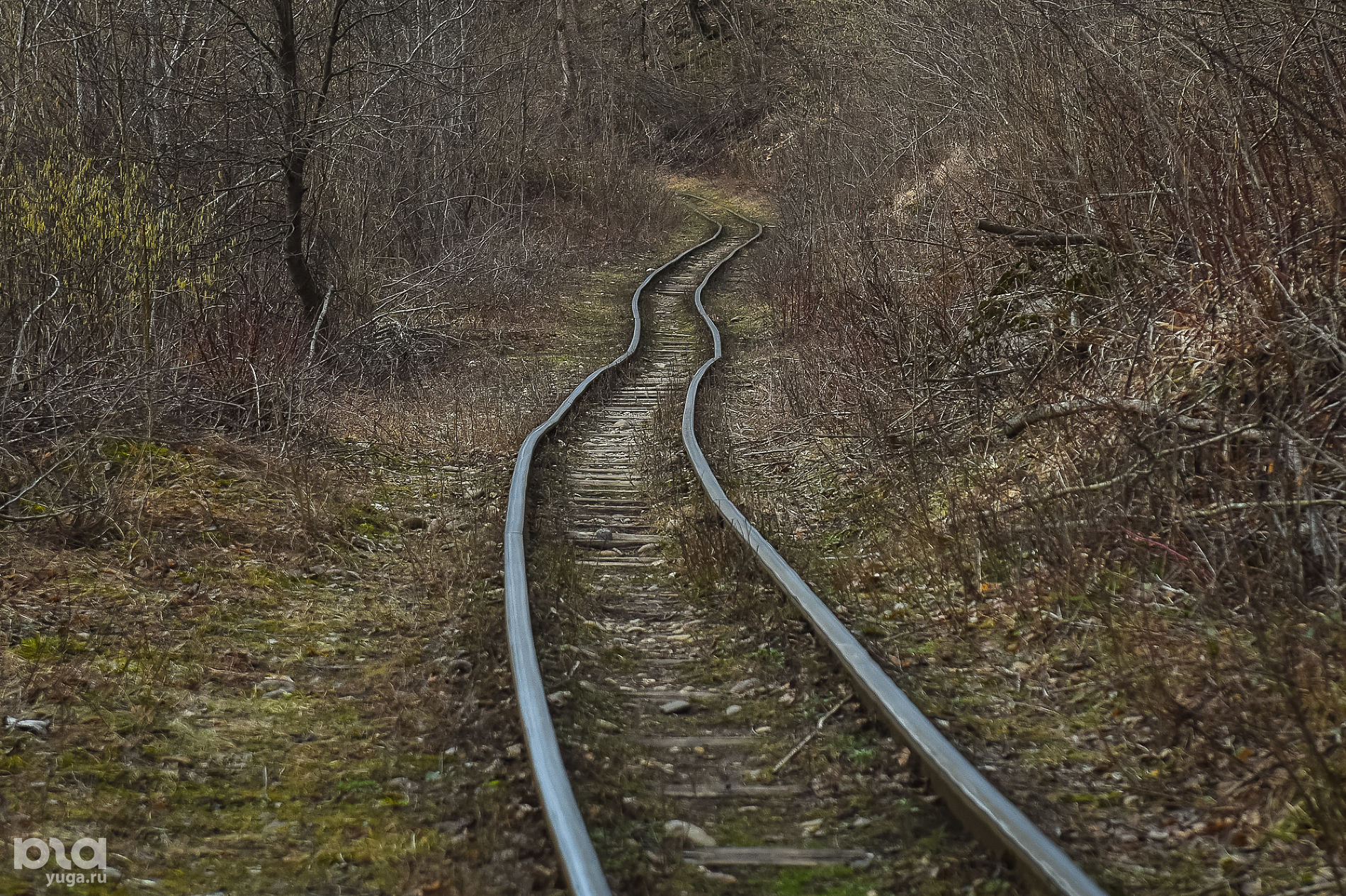 Апшеронская узкоколейная железная дорога © Фото Елены Синеок, Юга.ру