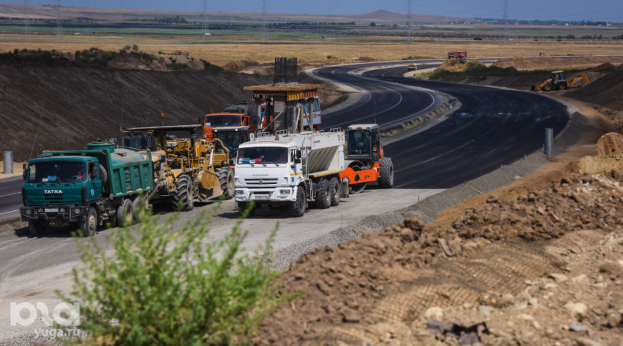  © Фото Елены Синеок, Юга.ру