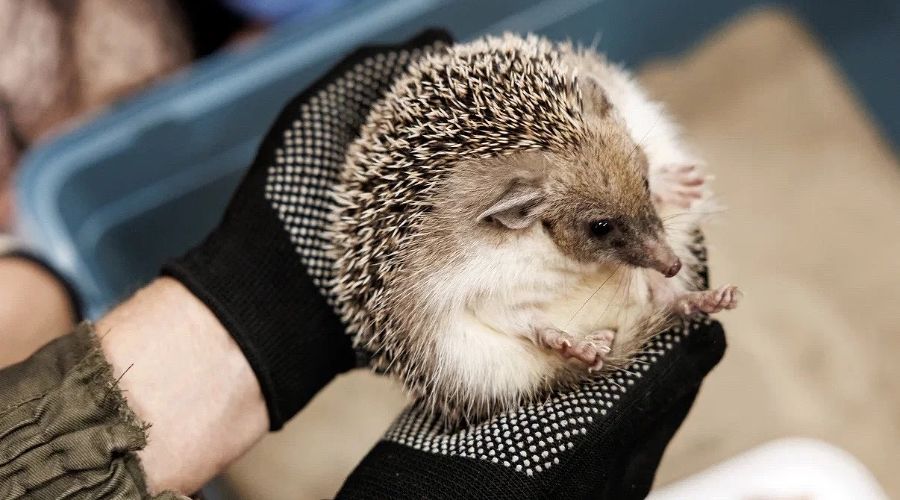  © Фото Евгения Чистякова