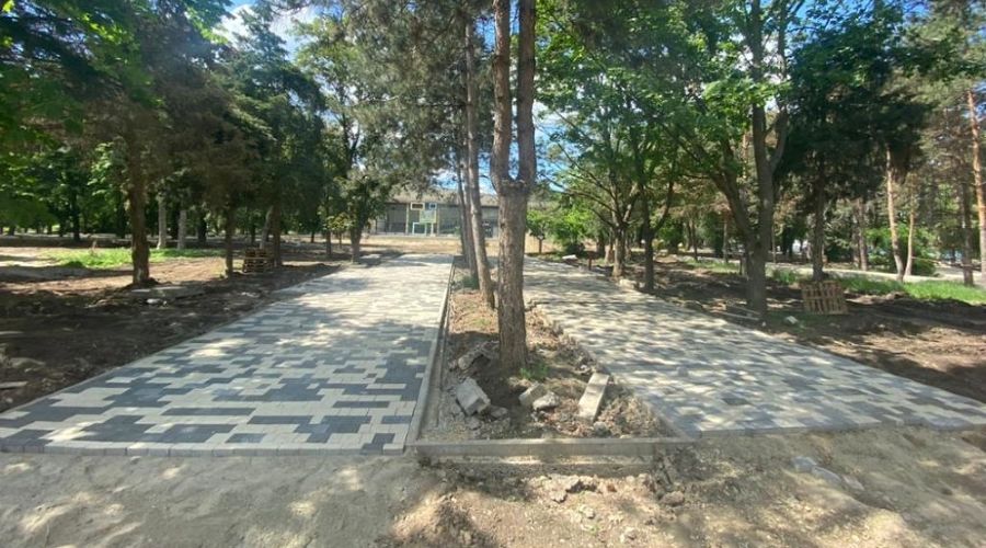  &copy;&nbsp;Фото пресс-службы администрации Краснодара