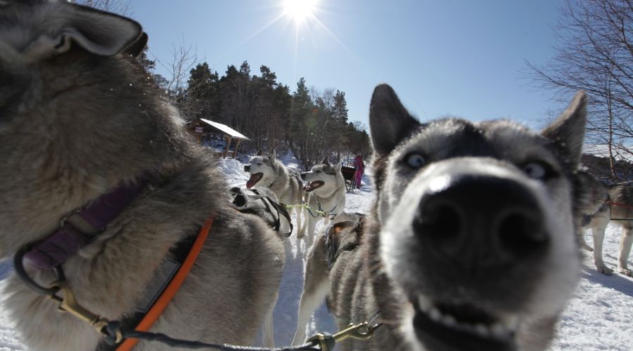  © Фото пресс-службы Кавказского заповедника
