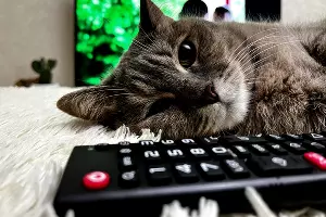  &copy;&nbsp;Фото Александры Булавкиной, Юга.ру