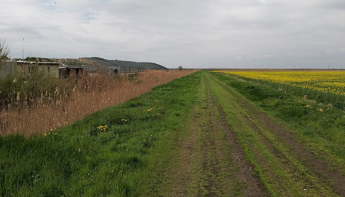 В станице Полтавской пришли с&nbsp;обысками к эко-активистке Наталье Гаряевой