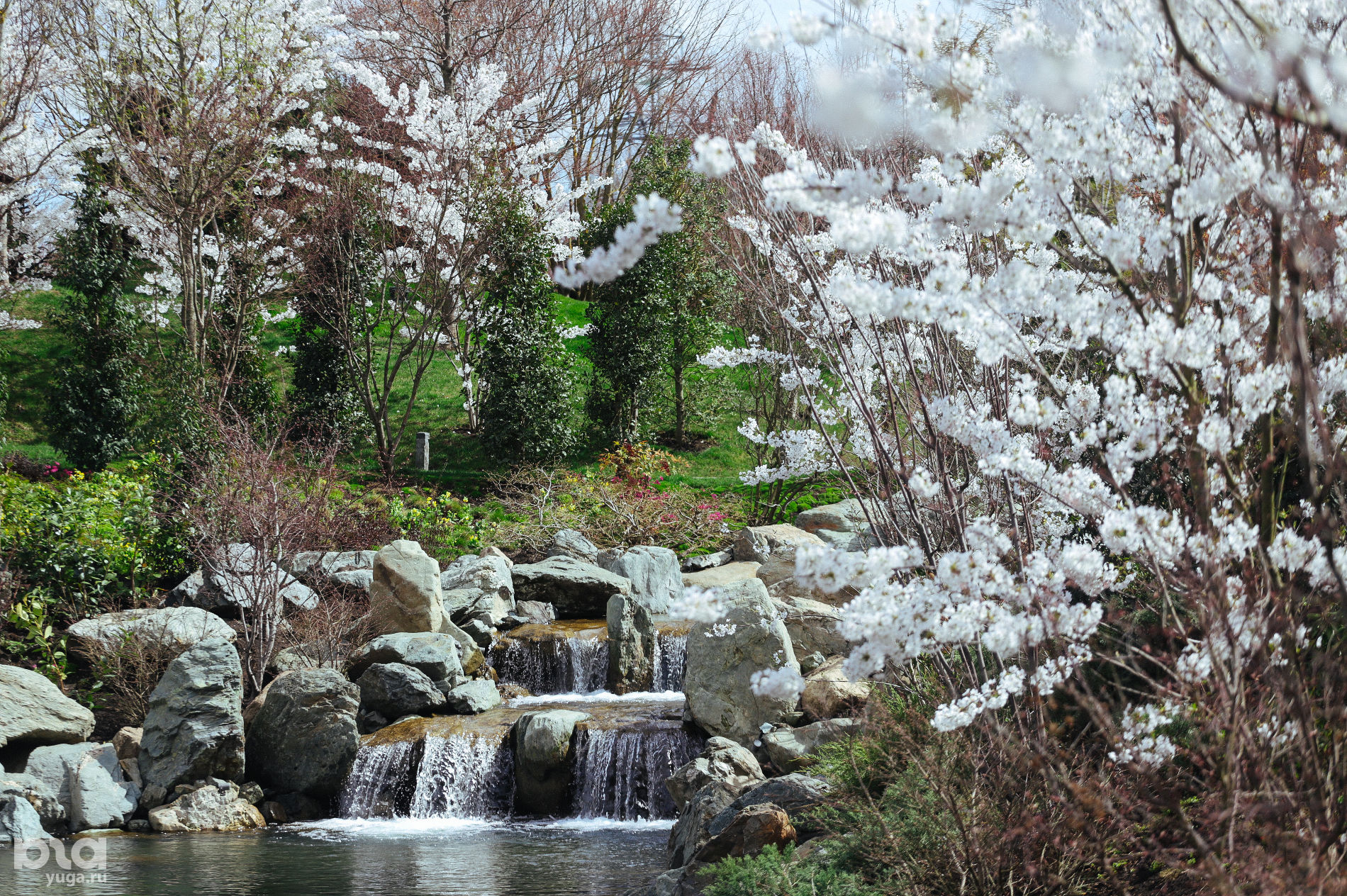 Японский сад © Антон Быков, Юга.ру