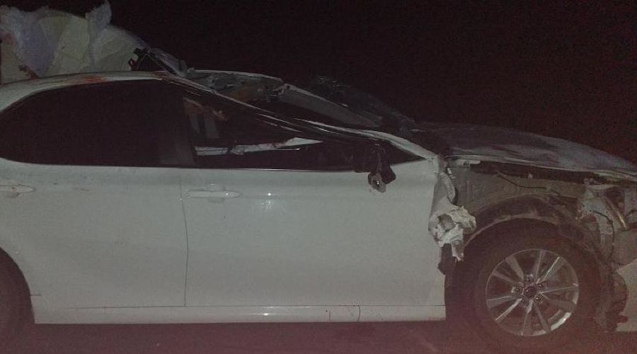  © Фото пресс-службы ГУ МВД России по Республике Адыгее