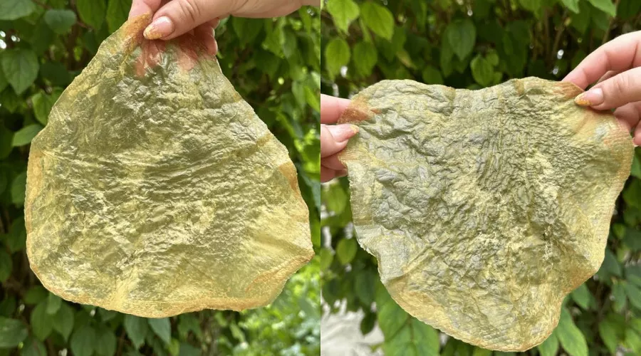  &copy;&nbsp;Скриншот с сайта https://azniirkh.vniro.ru/content/read/azniirkh-news/37370799-06-09-2024