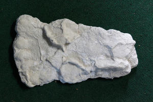 "Музей снежного человека" в Адыгее &copy;&nbsp;Влад Александров, ЮГА.ру