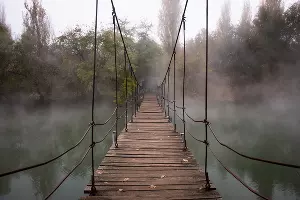 Туман в парке «Солнечный остров» &copy;&nbsp;Фото Елены Синеок, Юга.ру