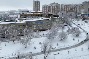 Снег в Краснодаре &copy;&nbsp;Фото Валерии Дульской, Юга.ру
