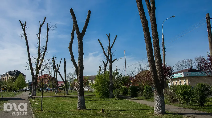 Сквер Зои Космодемьянской &copy;&nbsp;Фото Евгения Мельченко, Юга.ру