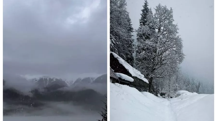  &copy;&nbsp;Скриншот из телеграм-канала &laquo;Сочи сейчас&raquo; https://t.me/sochinow/19348