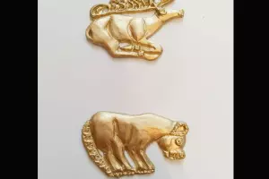  &copy;&nbsp;Скриншот из электронного письма от пресс-службы Краснодарского музея Фелицына