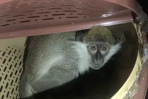  &copy;&nbsp;Фото пресс-службы Ростовской таможни